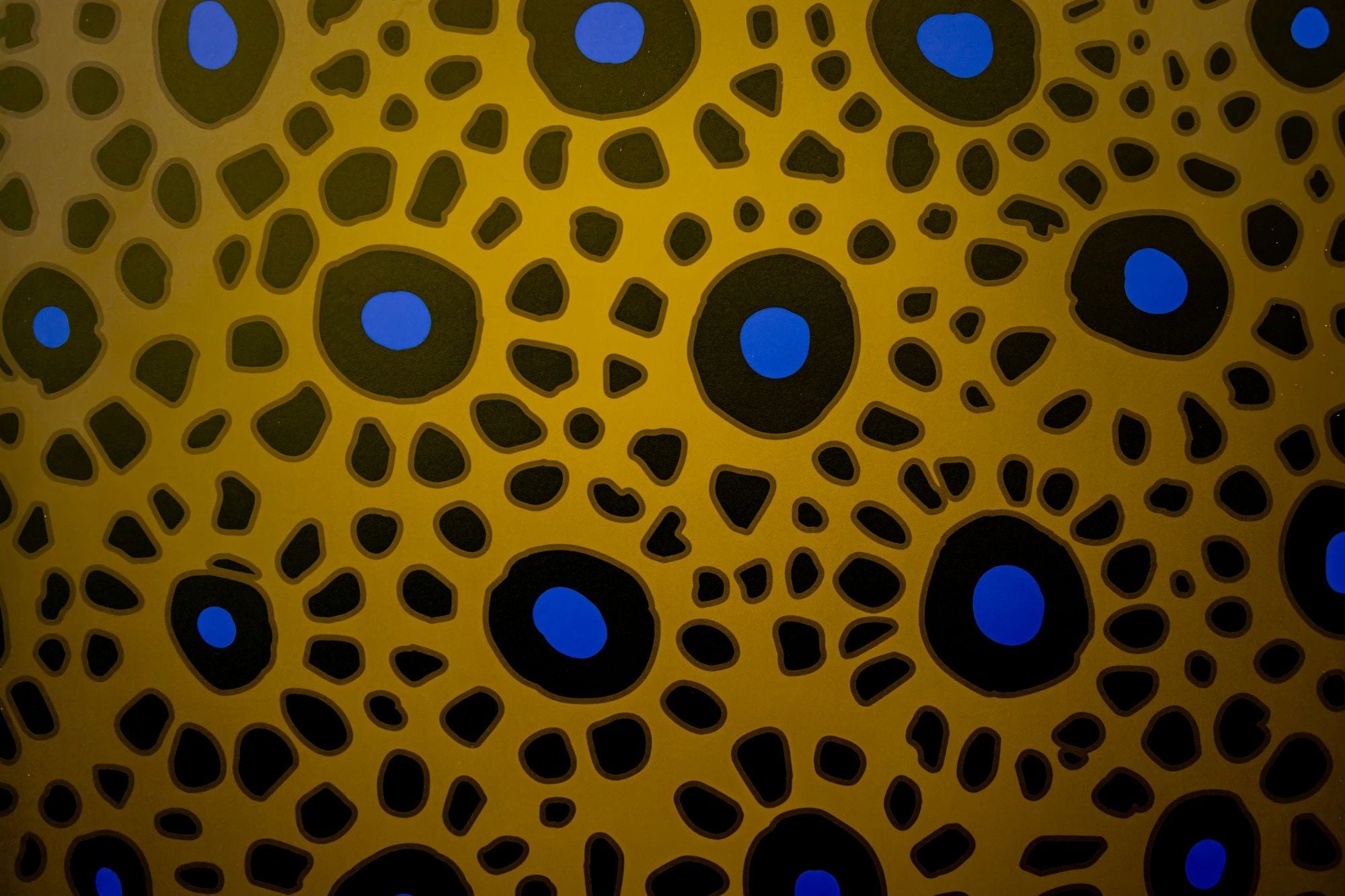 Zeus x Cabianca 5'10 Boxfish OKZ Softboard Zeus