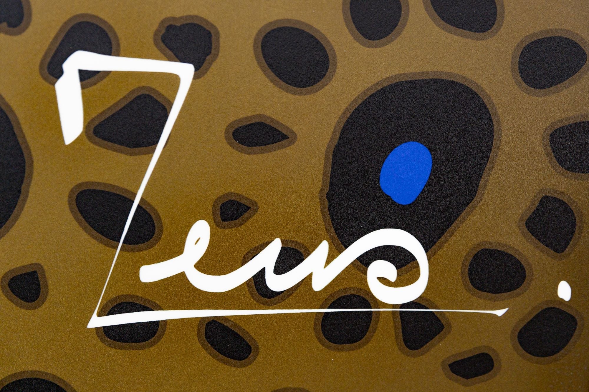 Zeus x Cabianca 5'10 Boxfish OKZ Softboard Zeus