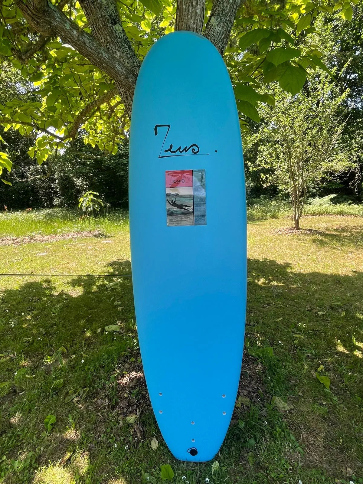 Zeus Burger Ixpe 7’6 occasion - vue 3