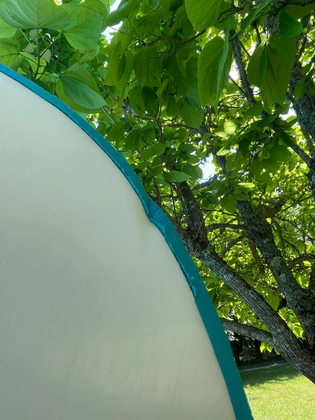 Zeus Bzh Series 8’0 occasion - vue 3