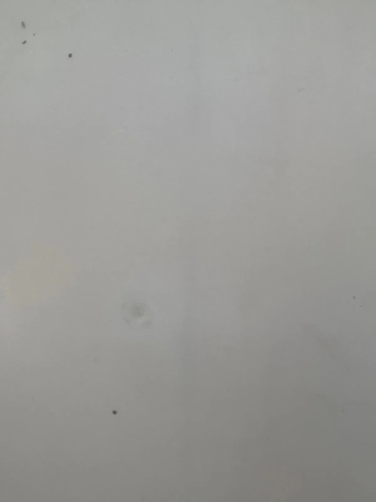 Zeus Epoxy Series 6’0 occasion - vue 3