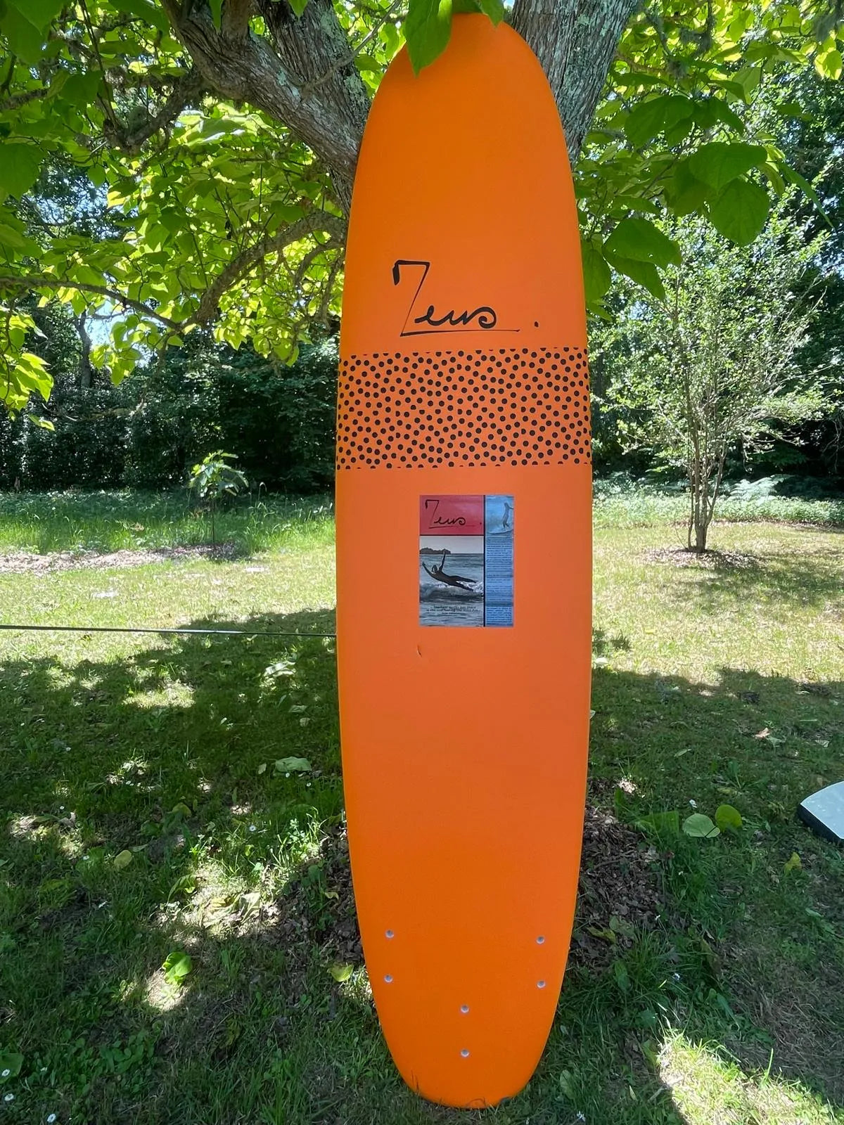 Zeus Progress 8’0 occasion - vue 3
