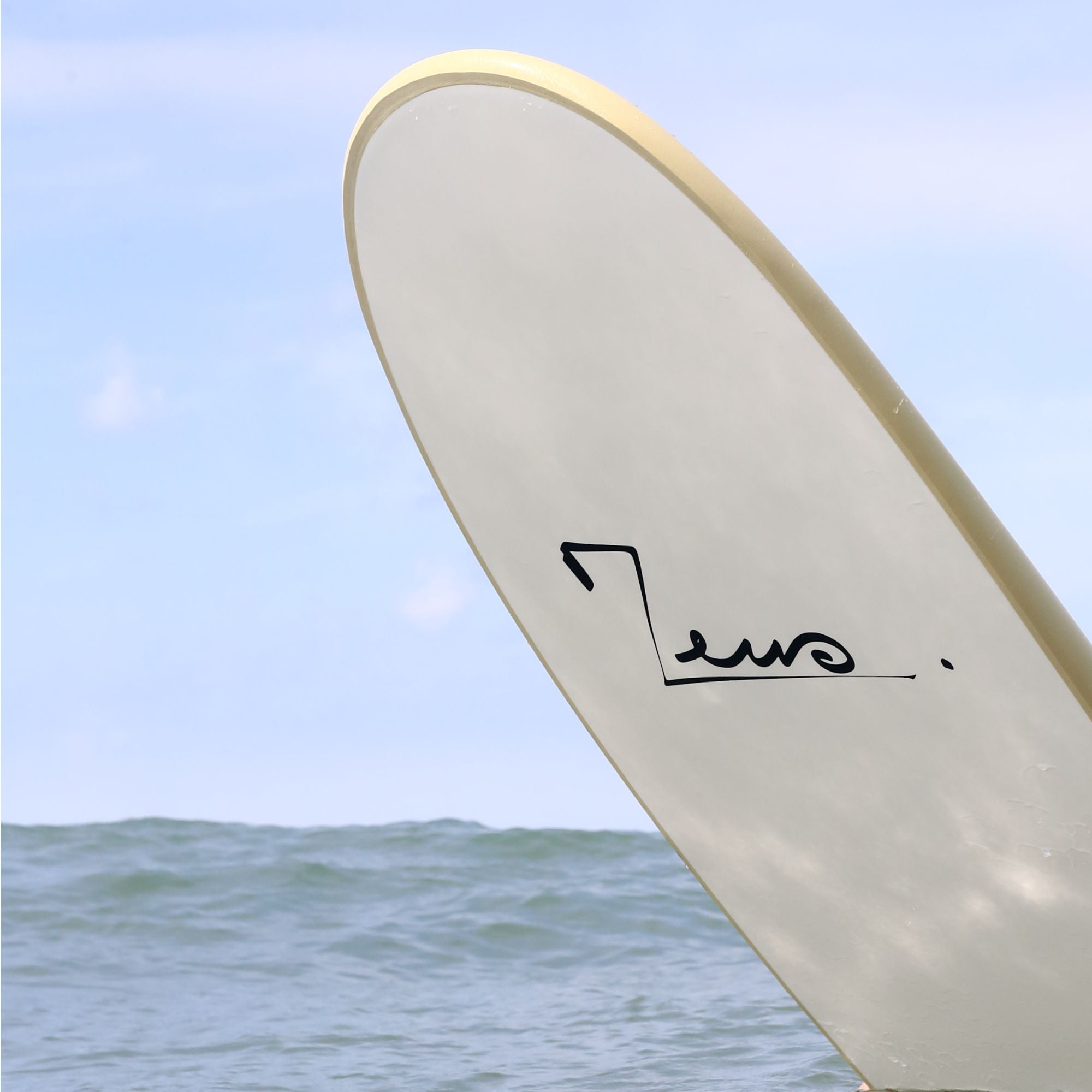 Progress 7'6 Softboard Zeus