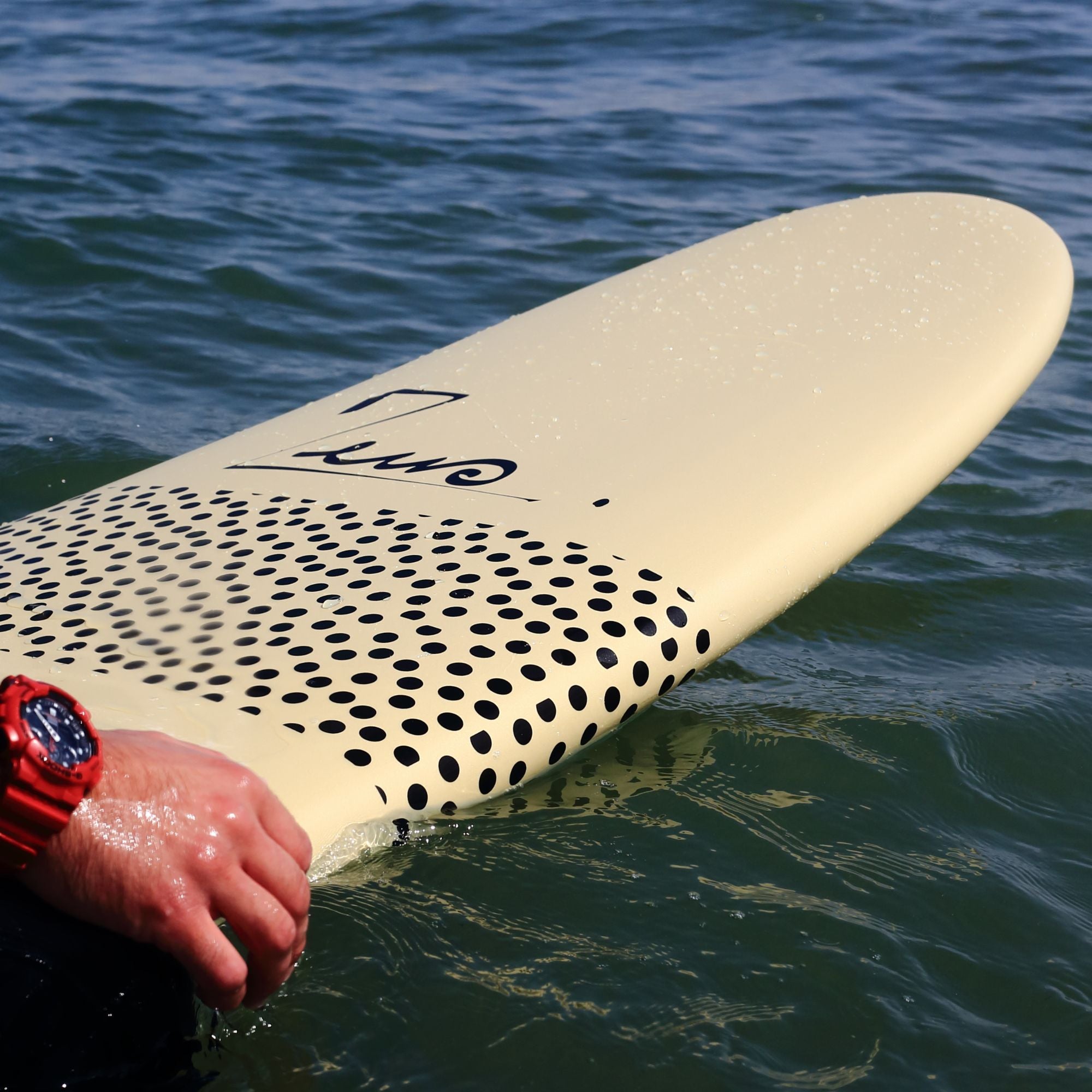 Progress 7'6 Softboard Zeus