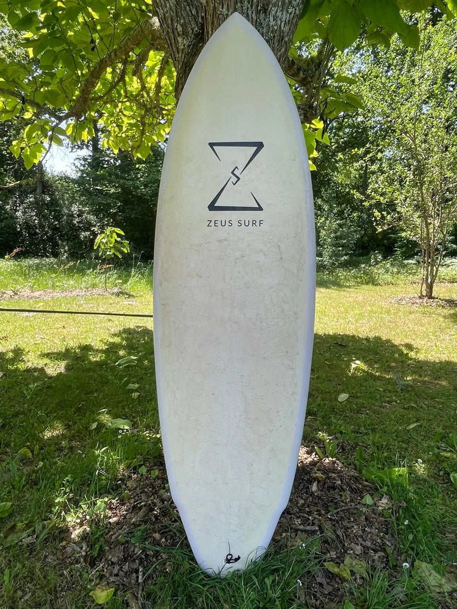 Zeus Epoxy Series 6’0 occasion - vue 4