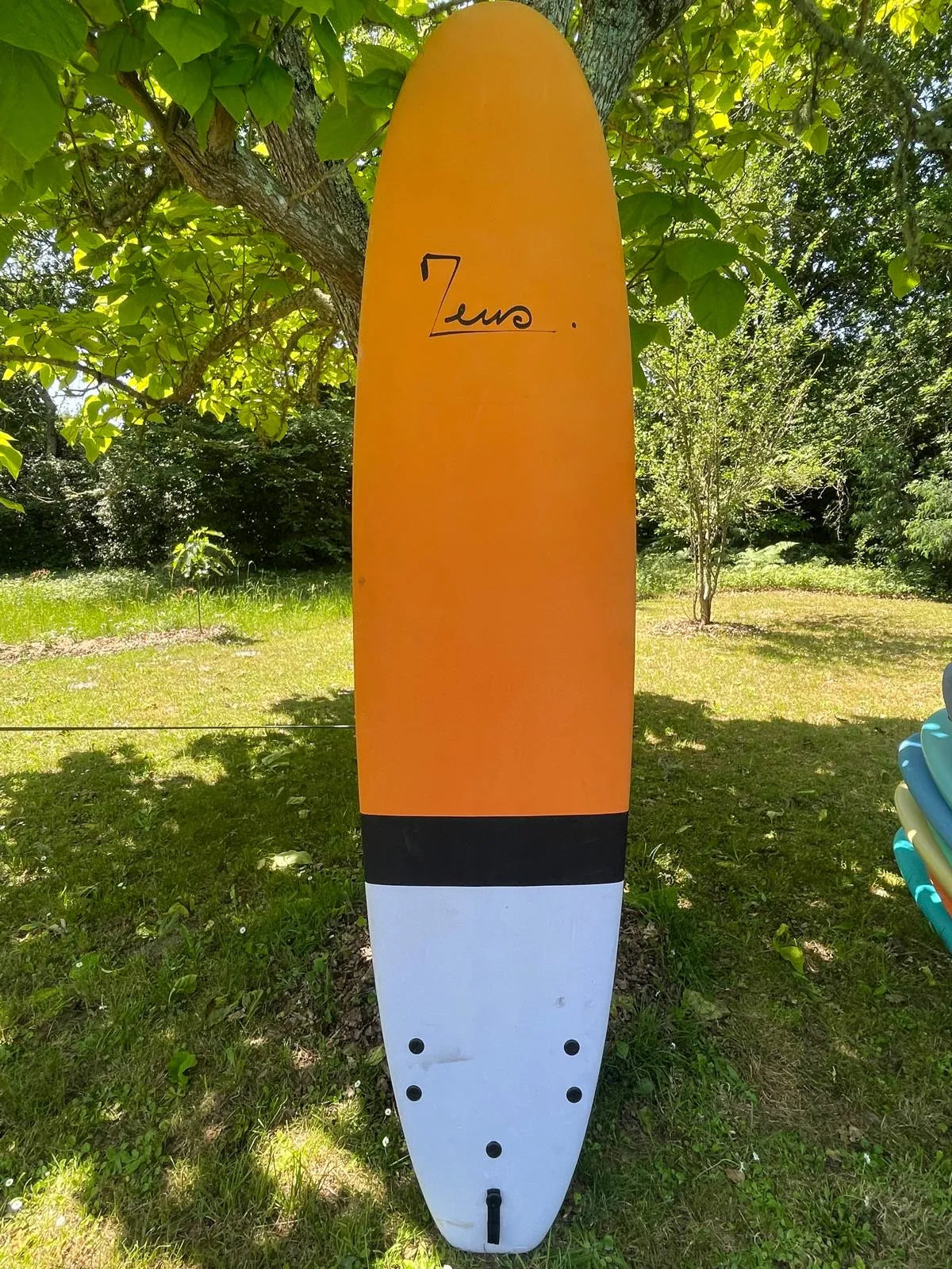 Zeus Mielo Eva 8’6 occasion - vue 4