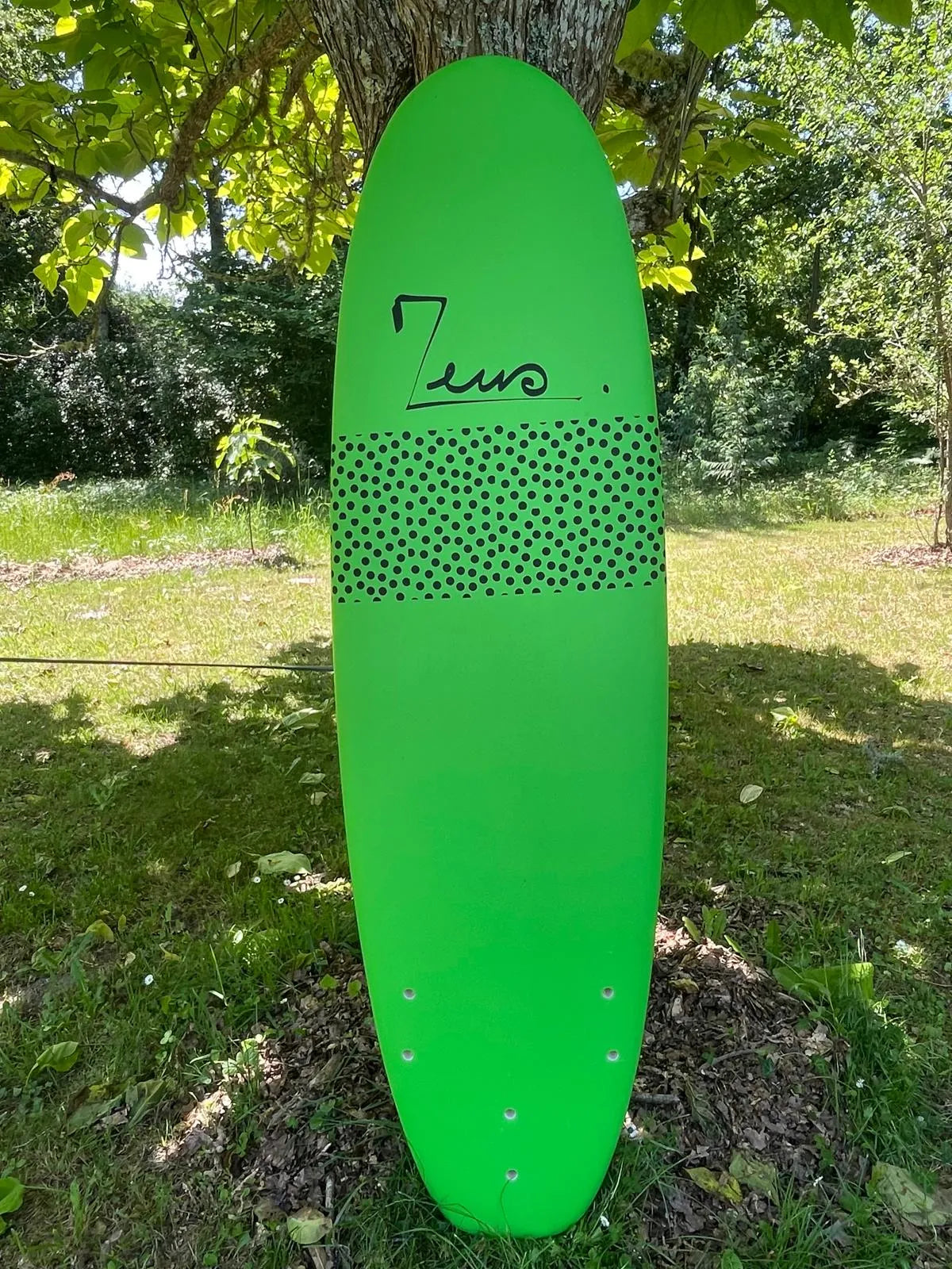 Zeus Progress 6’0 occasion - vue 2
