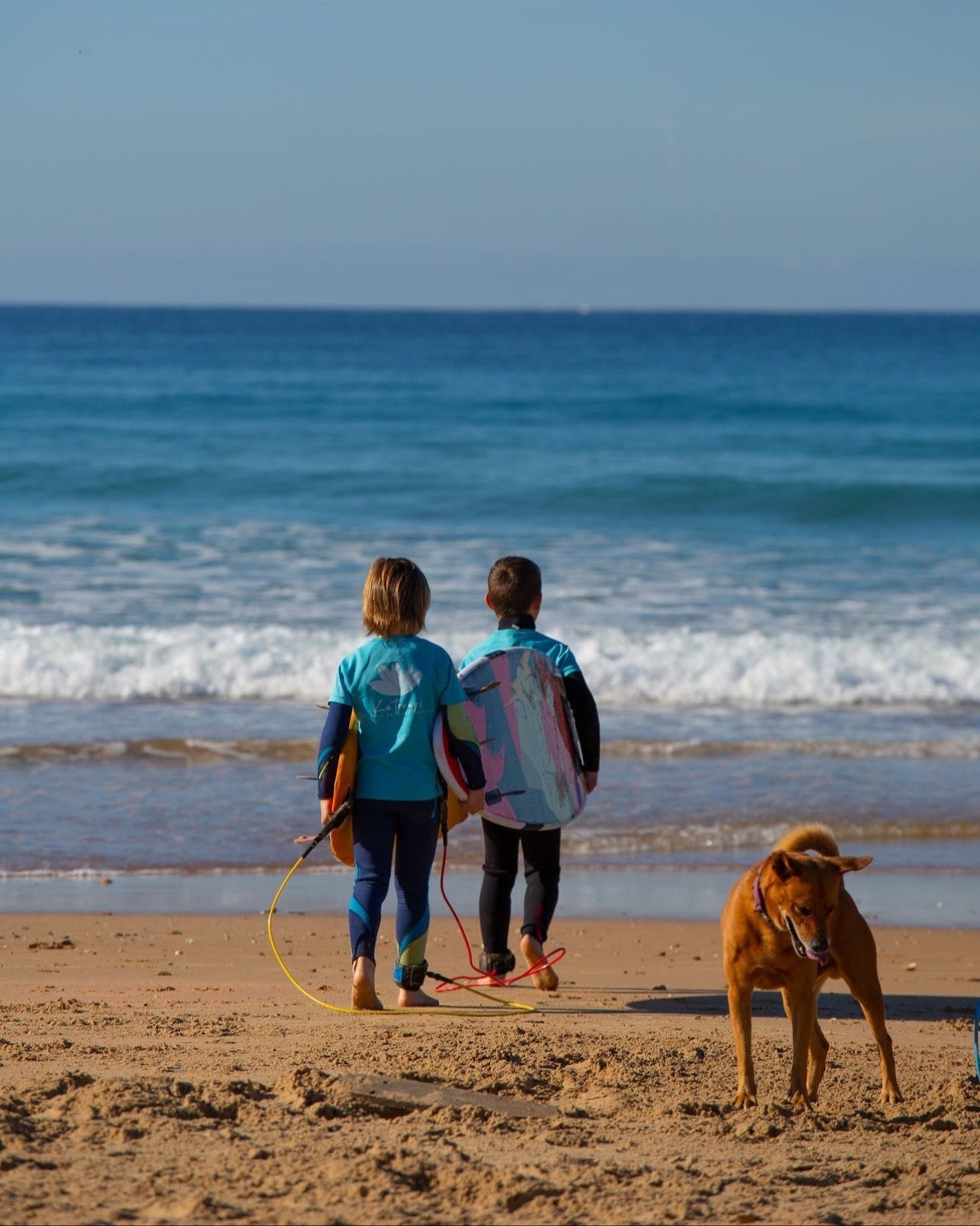 Deux enfants en combinaison et t-shirt de surf Zeus marchant sur la plage avec leurs planches sous le bras, en direction de l’océan, accompagnés d’un chien au premier plan.

